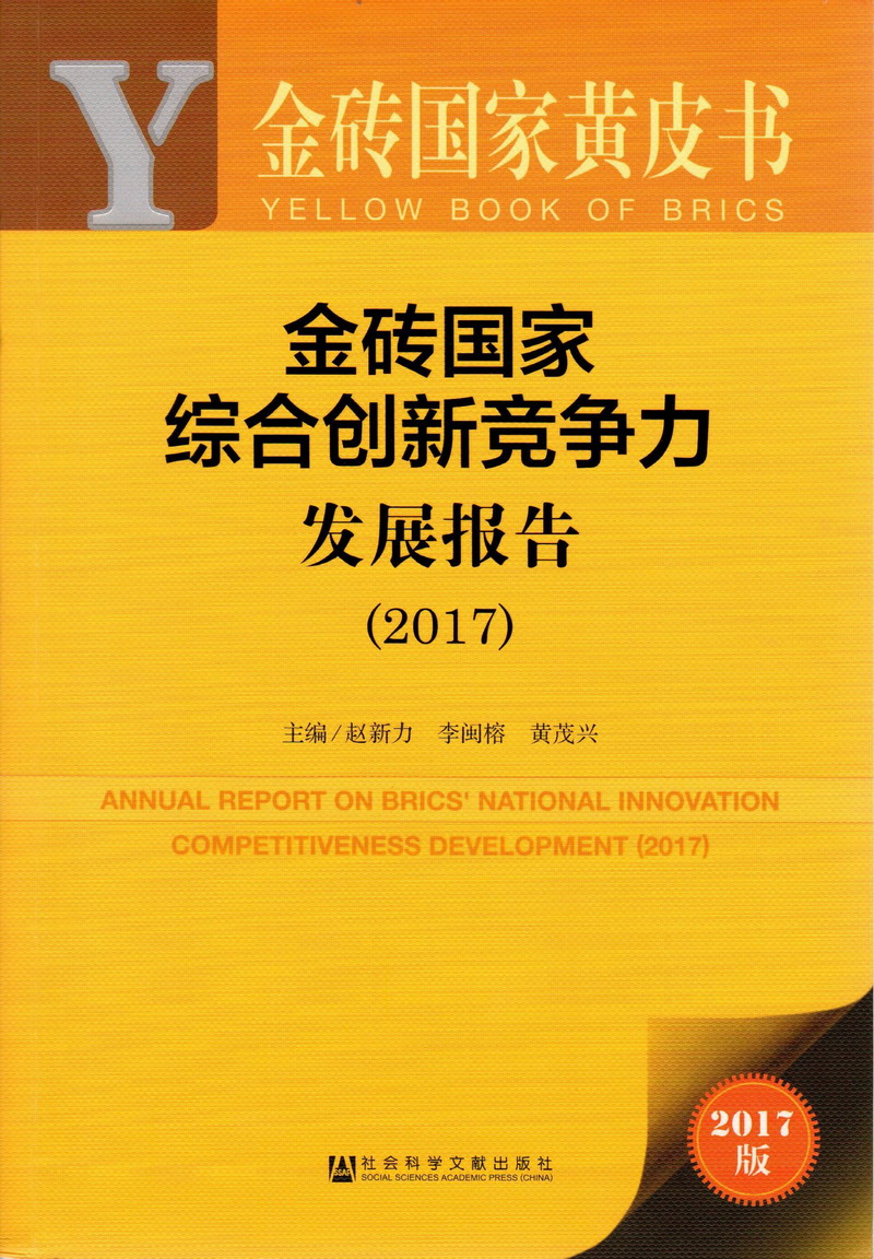 啊痒死我了干我逼金砖国家综合创新竞争力发展报告（2017）